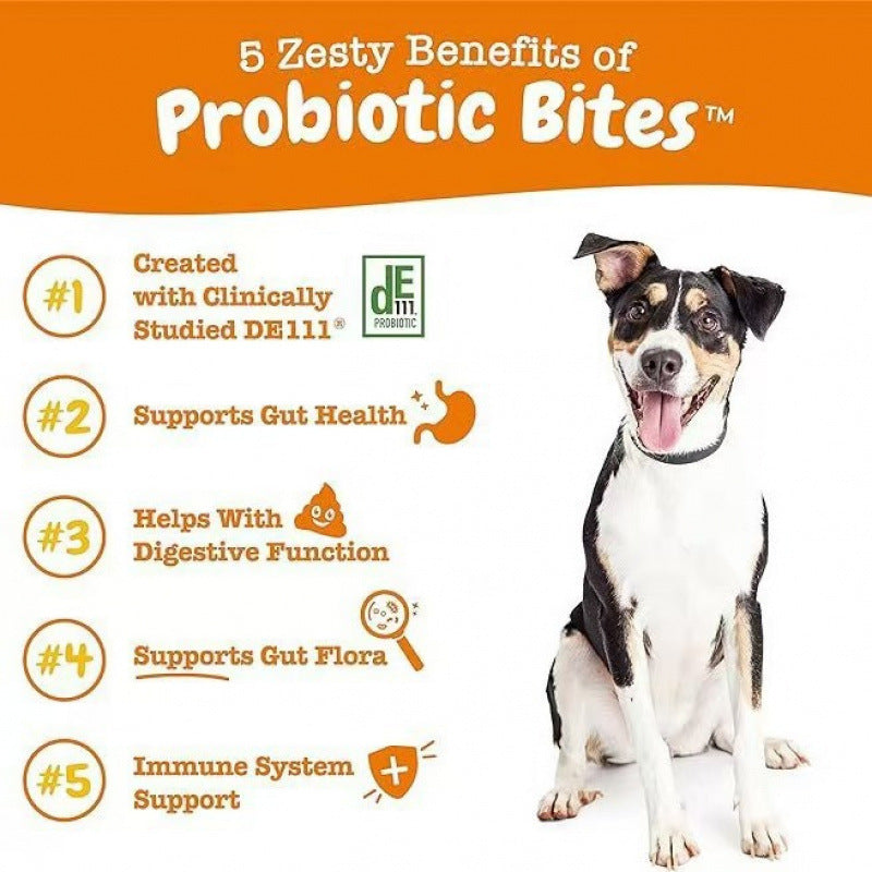 315g Probiotic Chewable Tablets Dog Food Cat Food Intestinal
