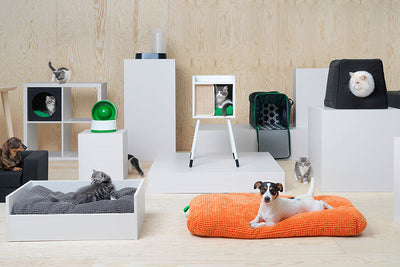 Pets Beds and furniture