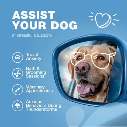 Calming Chews For Dogs Duck Flavor Canine Supplement