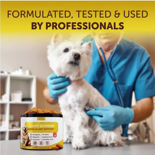 Scoot Stopper Soft Chews Fiber For Dogs Dog Anal Gland