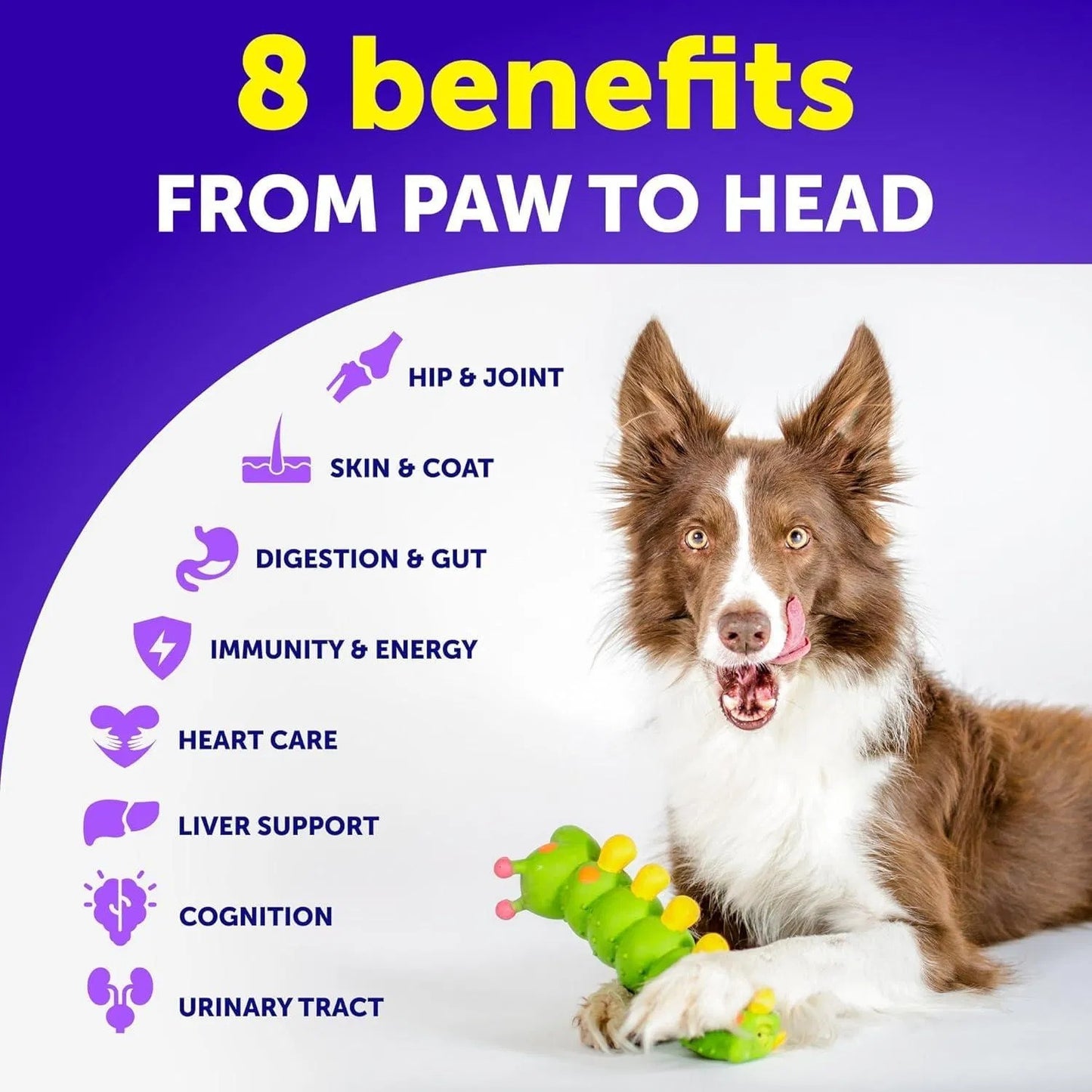 Dog Multivitamin Chewable With Glucosamine 20 In 1 Dog