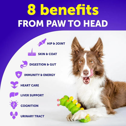 Dog Multivitamin Chewable With Glucosamine 20 In 1 Dog
