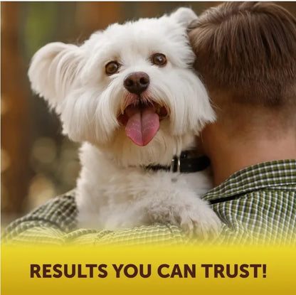 Scoot Stopper Soft Chews Fiber For Dogs Dog Anal Gland