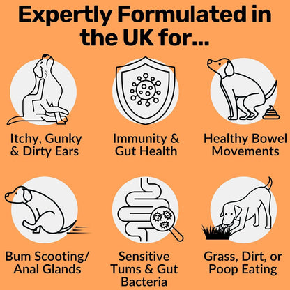 Dog Prebiotics Digestive Snacks Intestinal Health Pet Health