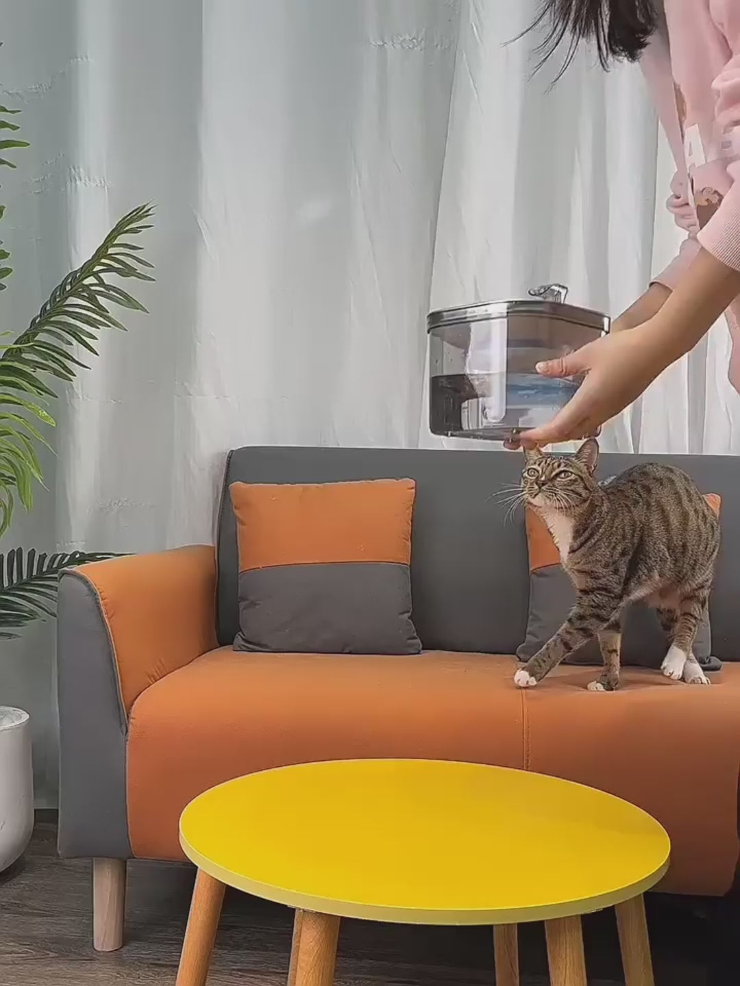 Pet Cat Dog Stainless Steel Automatic Circulation Water Dispenser Intelligent Fountain Pets Accessories