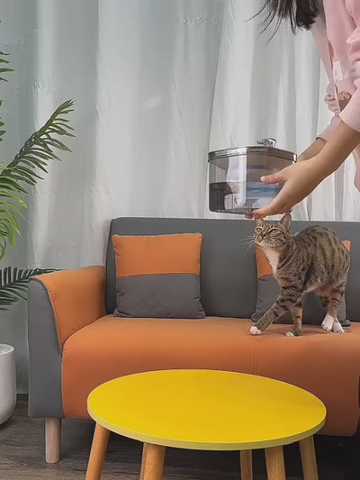 Pet Cat Dog Stainless Steel Automatic Circulation Water Dispenser Intelligent Fountain Pets Accessories