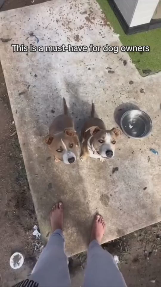 Dog Water Cup Drinking Food Garbage Bag Three-in-one Portable Small Multi-functional Pet Cups Pets Supplies