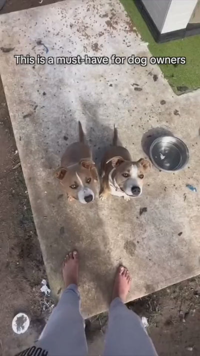 Dog Water Cup Drinking Food Garbage Bag Three-in-one Portable Small Multi-functional Pet Cups Pets Supplies