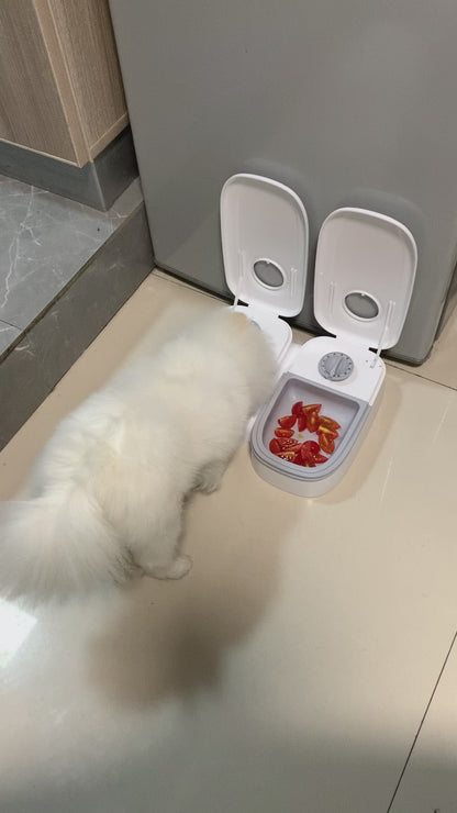 Automatic Pet Feeder Smart Food Dispenser For Cats Dogs Timer