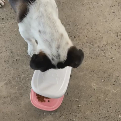 Automatic Pet Feeder Smart Food Dispenser For Cats Dogs Timer